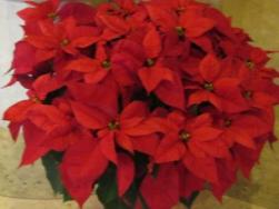 ???????????????????????????????